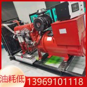 柴油發(fā)電機(jī)組的柴油機(jī)在高原環(huán)境下如何改進(jìn)？